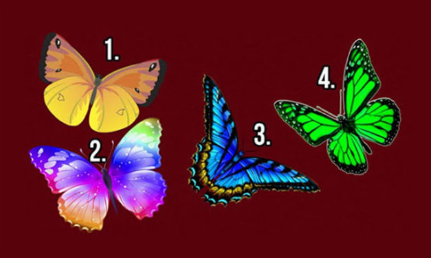 Test psihologic: Alegerea unui fluture iti va dezvalui mici secrete despre sufletul tau
