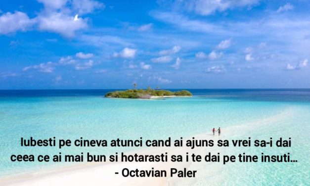 Cele mai frumoase citate ale lui Ocravian Paler